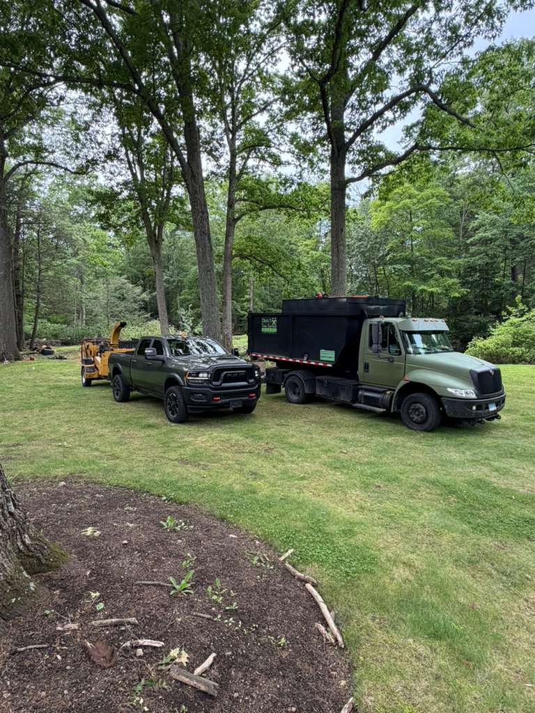 Chris T Tree Service fleet CT