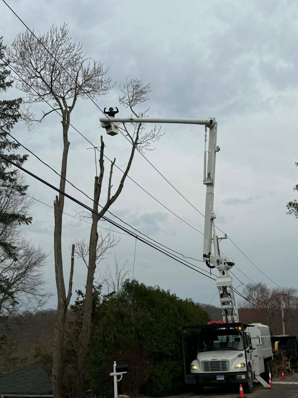 Bucket truck tree trimming power lines CT