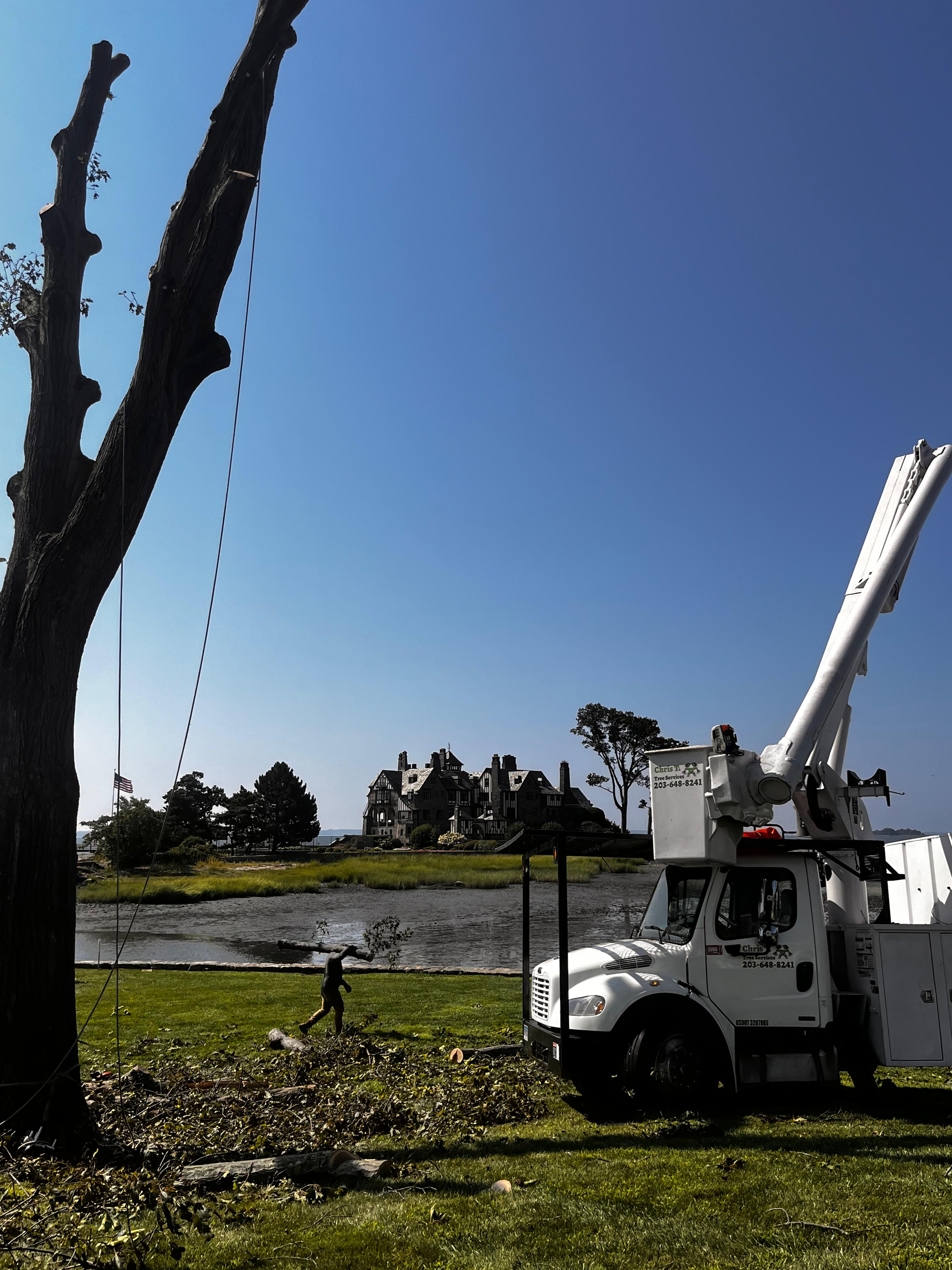 Chris T Tree Service crew in Fairfield County CT