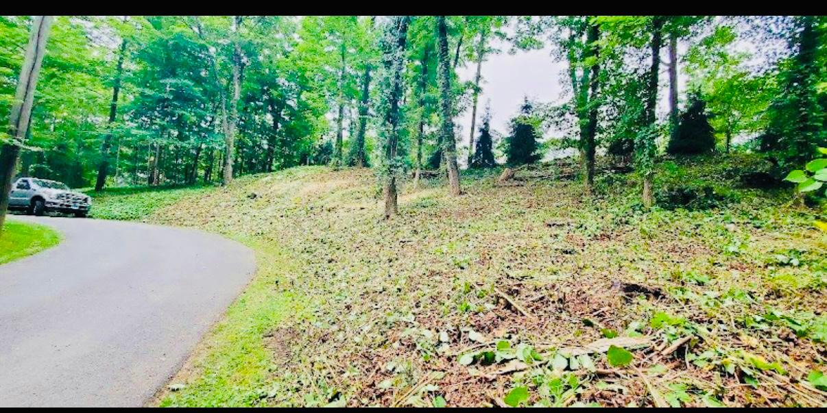 Land Clearing Fairfield County CT