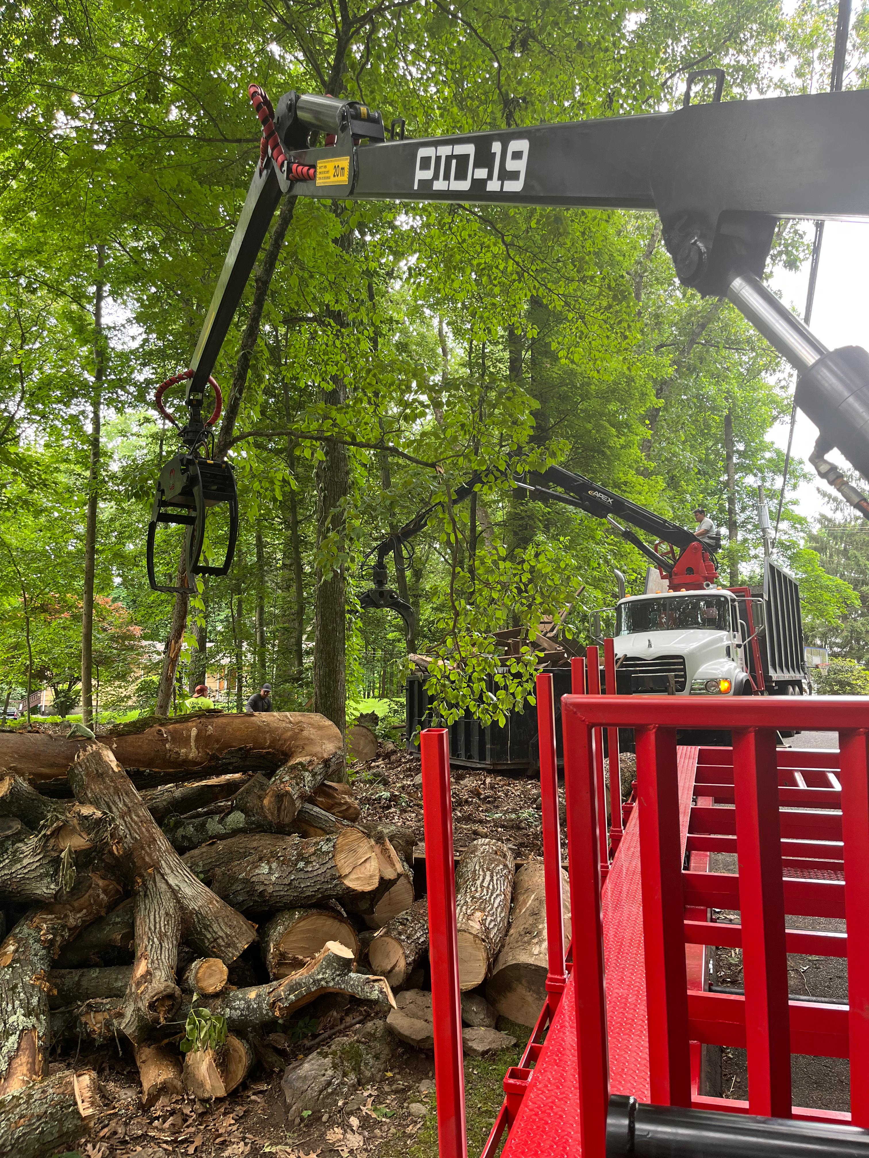 Tree Removal Fairfield County CT
