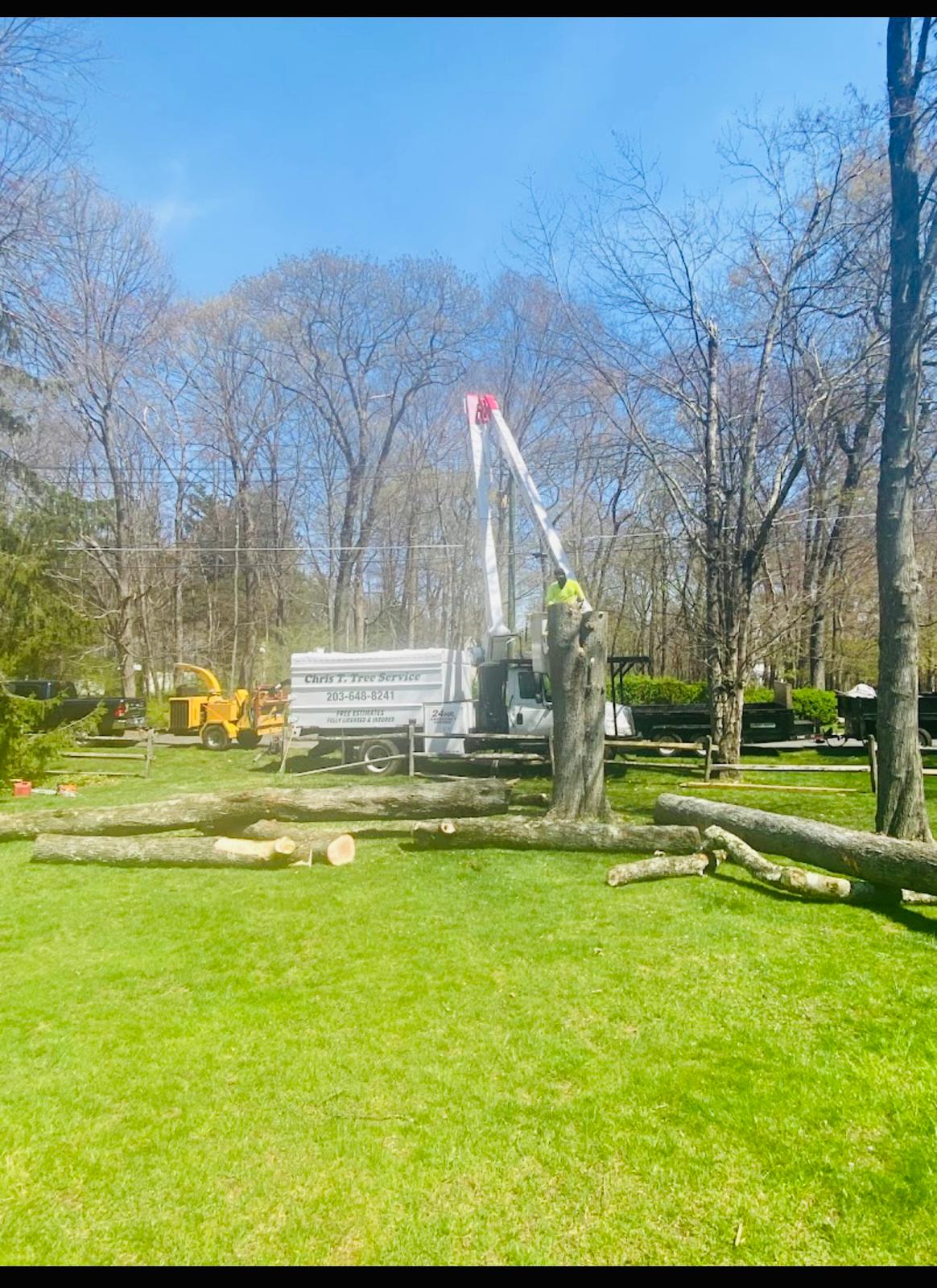 Tree Removal Fairfield County CT