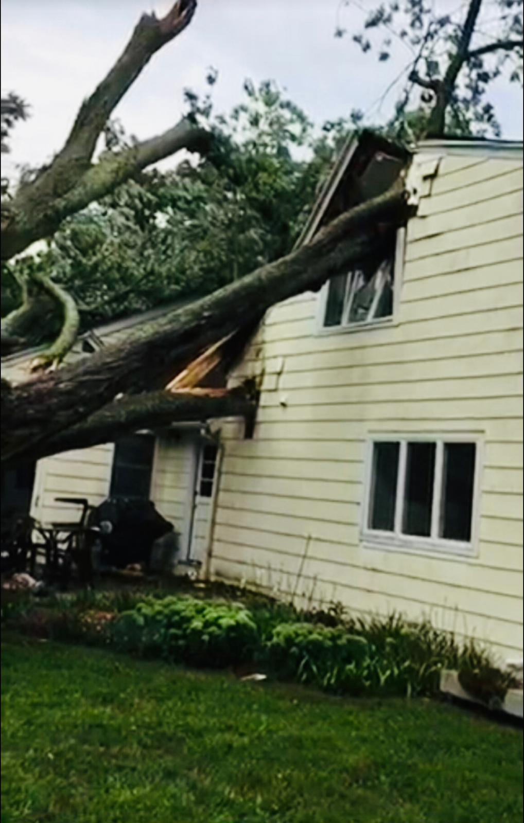 Storm Clean Up Emergency Tree Service CT
